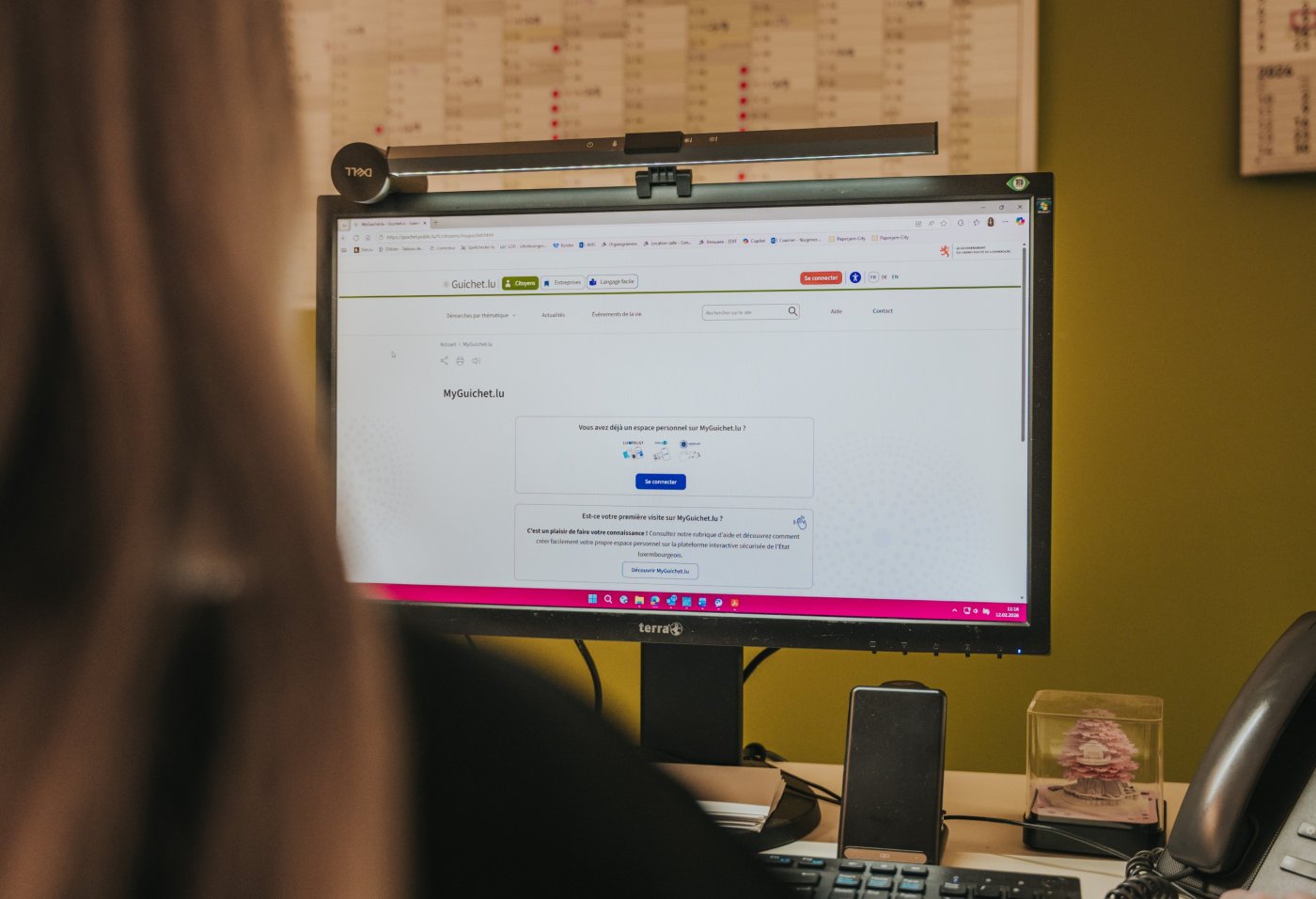 Image d'une personne qui consulte MyGuichet.lu