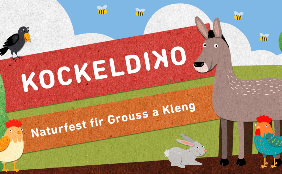 Kockeldiko