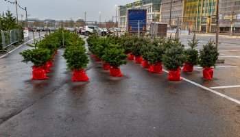 vente des sapins 2021