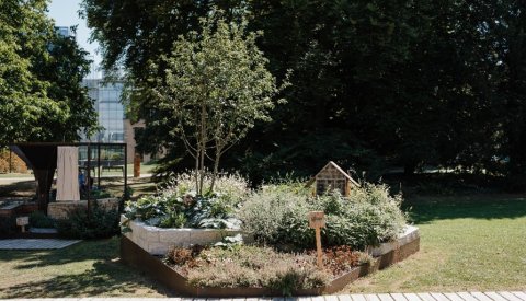 Verdure en Trois Temps : Une Réponse au Climat de Demain 