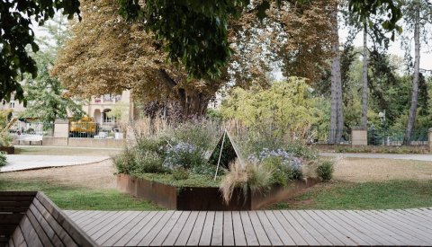 Voir et s'apercevoir
