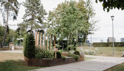 « Barriere, meist stehst du dir selbst im Weg »
