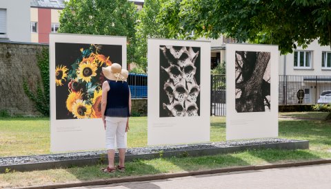 Exposition de Edward Steichen au Parc Merl