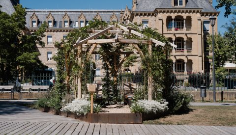 Pergola bionique