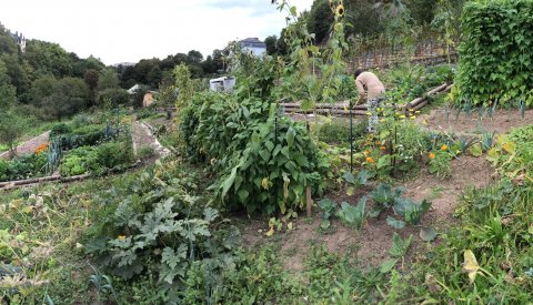 Jardin communautaire Ville Haute-Gare