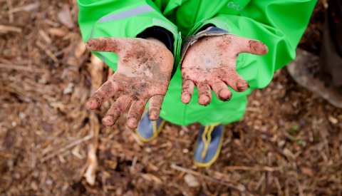 enfants jouant dans la forêt