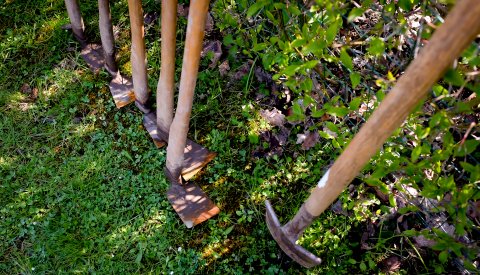 pioches dan un jardin