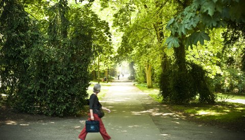 parc municipal de la Ville