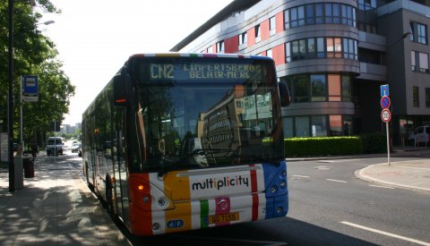 City Night Bus