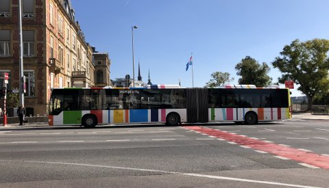 Bus