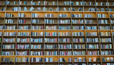 Livres dans une bibliothèque