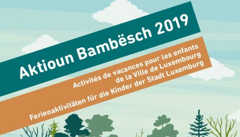 Illustration du flyer de l'Aktioun Bambësch 2019
