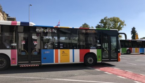 Bus