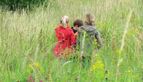 activités-nature _ enfants en forêt