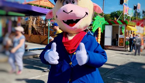 Lämmy 2019