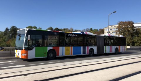 bus 