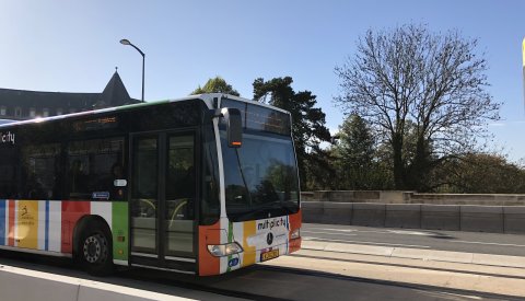 Bus automne 2019
