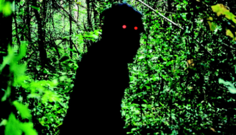 Boonmee_Cinémathèque