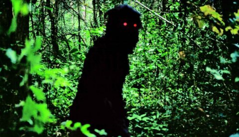 Oncle Boonmee