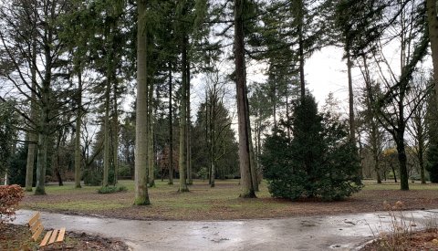 Limpertsberg - Parc Tony Neuman