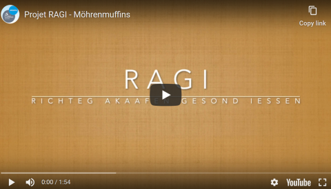 Projet Ragi