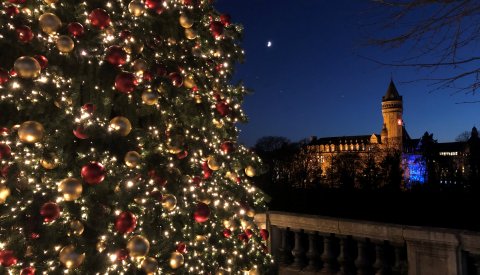 Winterlights 2020