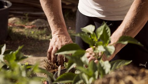 Job étudiant - jardinage