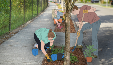 Parterre arbre banner