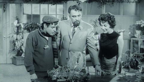 The Little Shop of Horrors