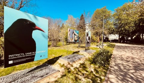 expo parc merl