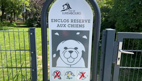 chien parc