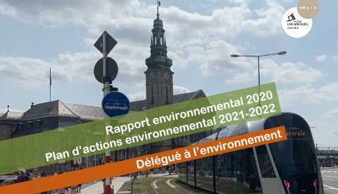 Rapport environnemental 2020