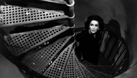 Suddenly Last Summer