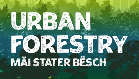 urban forestry