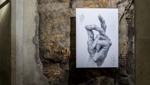 Une image d'art dans le cadre de l'exposition « Hands and Ornaments »