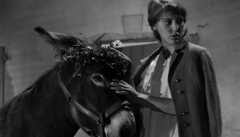 Au hasard Balthazar