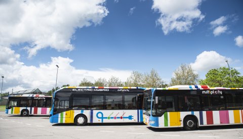 Bus