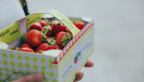 barquette de fraises