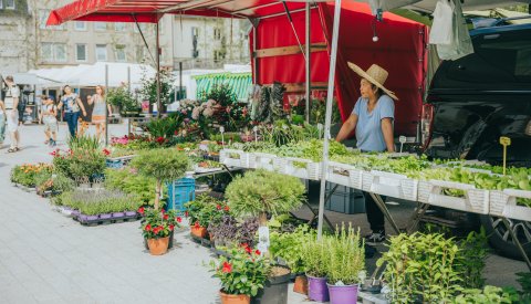 stand avec des plantes et fleurs au marché