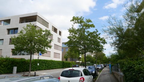 rue de l'avenir