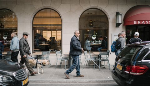 un homme aveugle promenant son chien