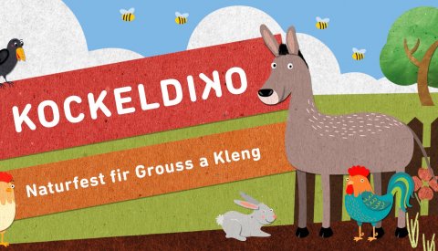 Image du visuel du Kockeliko