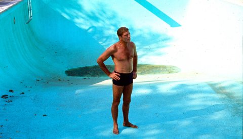 The Swimmer