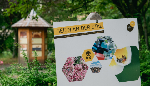 affiche de "beien an der stad" 