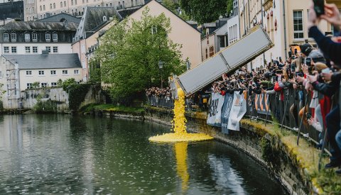 duck race 2024