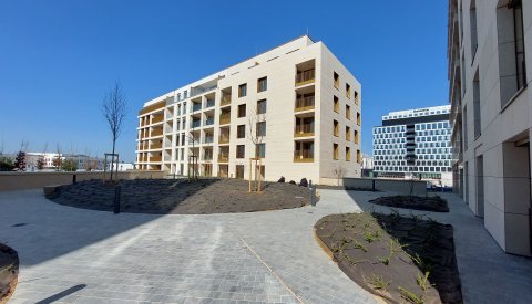 Logements - Bien