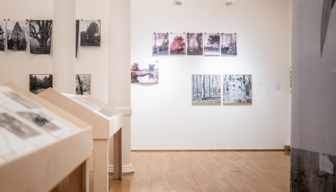 Image de l'intérieur de l'exposition de la photothèque au Cercle Cité