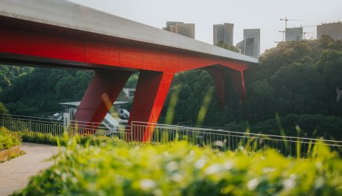 Pont Grande-Duchesse Charlotte