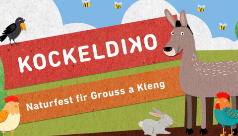 Kockeldiko