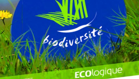 Couverture du magazine ECOlogique n°1 2010 Biodiversité